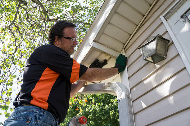 Historical Building Siding Restoration in West Rancho Dominguez, CA